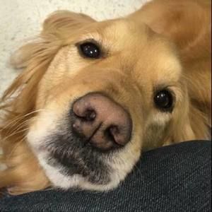 Meet your Posher, Kathleen